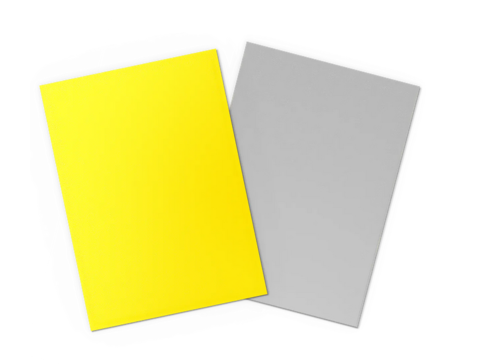 DS100 Matte Dual - Yellow & Silver