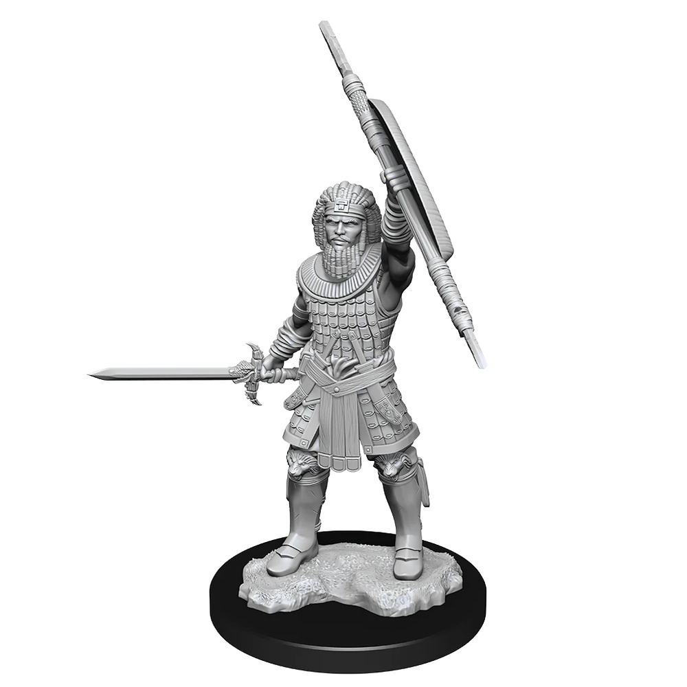 D&D Nolzur's Marvelous Miniatures: Human Fighter