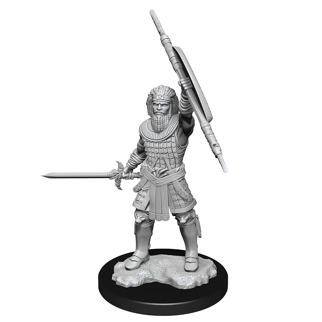 D&D Nolzur's Marvelous Miniatures: Human Fighter