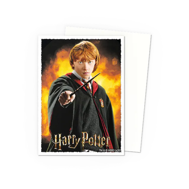 Dragon Shield Standard 100 Matte Art Ron Weasley